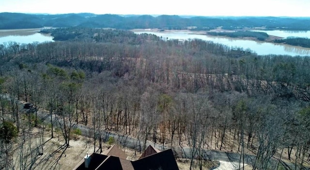 1410 Echota Ln, Mooresburg, TN 37811