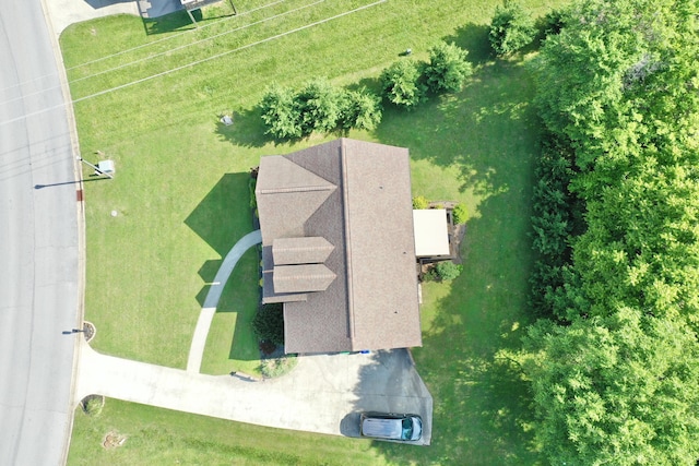 bird's eye view