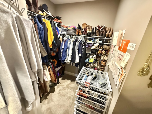 spacious closet featuring carpet floors