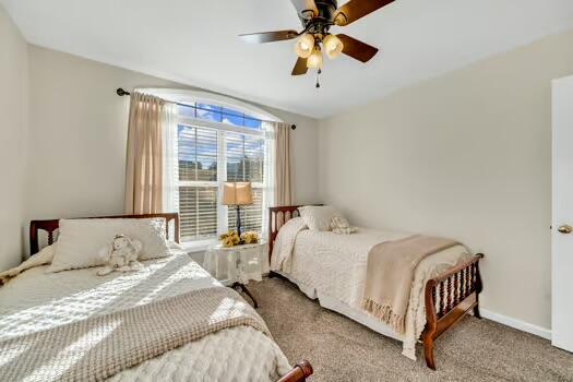 784 Constitution Dr, Jefferson City, TN 37760 - bedroom with carpet, baseboards, and a ceiling fan