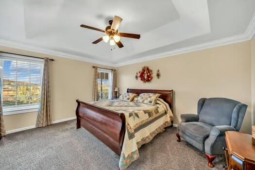 784 Constitution Dr, Jefferson City, TN 37760 - bedroom featuring ornamental molding, carpet floors, a tray ceiling, and baseboards