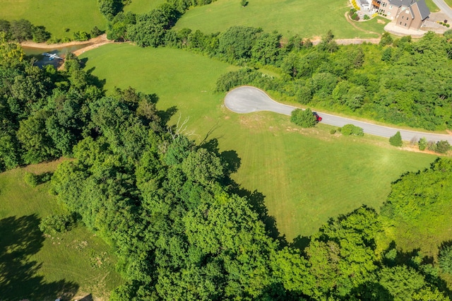 LOT120 Cow Poke Ln, Rutledge, TN 37861