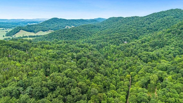 299 Lauderback Gap Trl, Rogersville, TN 37857 - photo 2