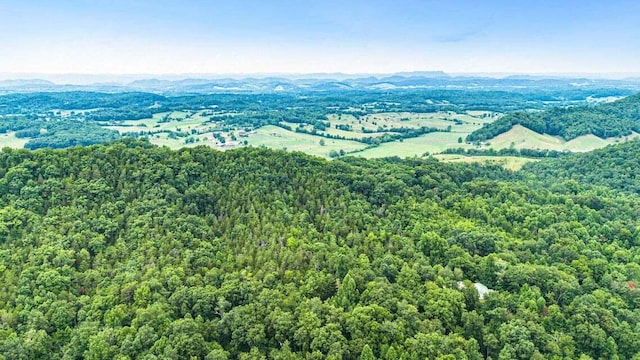 299 Lauderback Gap Trl, Rogersville, TN 37857 - photo 4