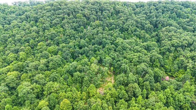 299 Lauderback Gap Trl, Rogersville, TN 37857 - photo 13