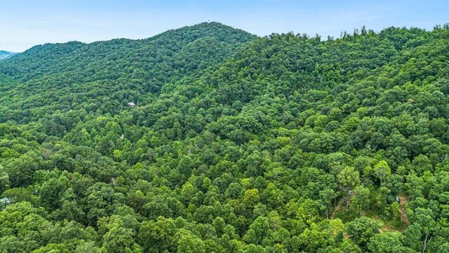 299 Lauderback Gap Trl, Rogersville, TN 37857 - photo 12
