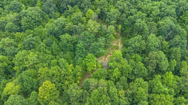 299 Lauderback Gap Trl, Rogersville, TN 37857 - photo 5