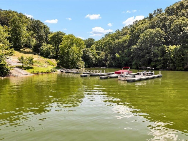 LOT11 Walnut Bend Dr, Whitesburg, TN 37891