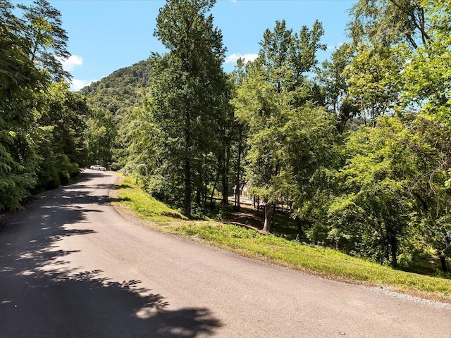 LOT11 Walnut Bend Dr, Whitesburg, TN 37891