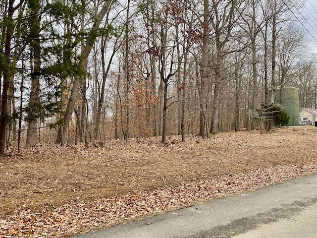 Listing photo 2 for 970-972 Iron Gate Dr, Baneberry TN 37890