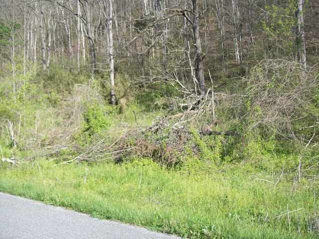 0 War Creek Rd, Sneedville, TN 37869