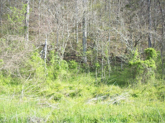 0 War Creek Rd, Sneedville, TN 37869