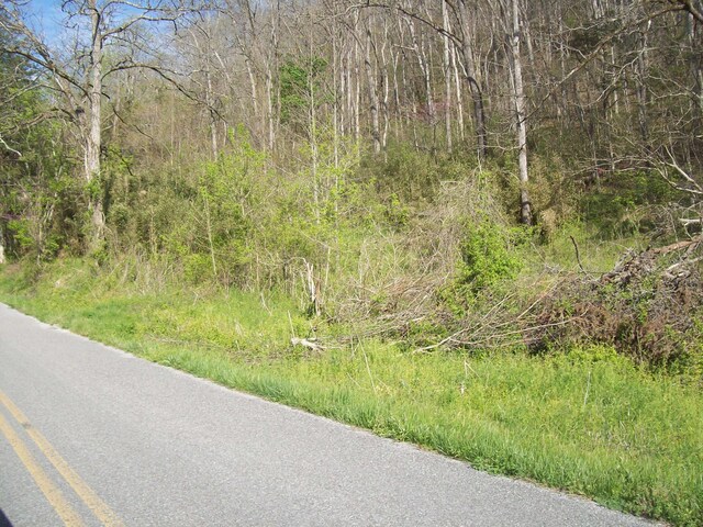 0 War Creek Rd, Sneedville, TN 37869