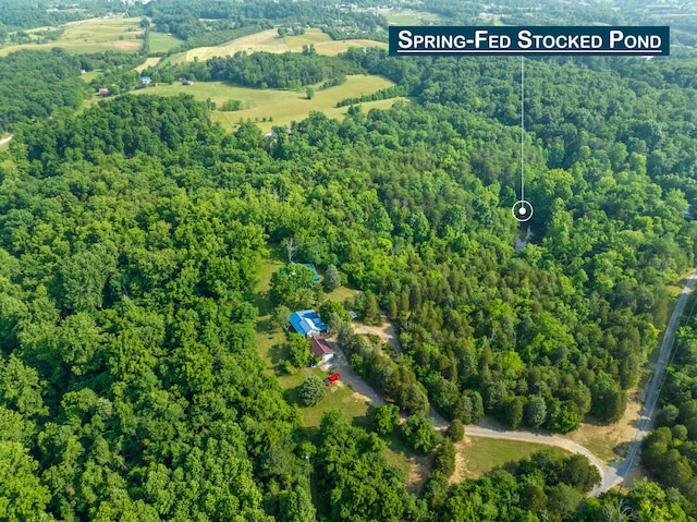 261 Buzzard Roost Rd, Bulls Gap, TN 37711 - view of property location with a heavily wooded area