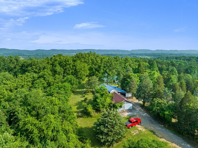 261 Buzzard Roost Rd, Bulls Gap, TN 37711 - view of subject property with a forest