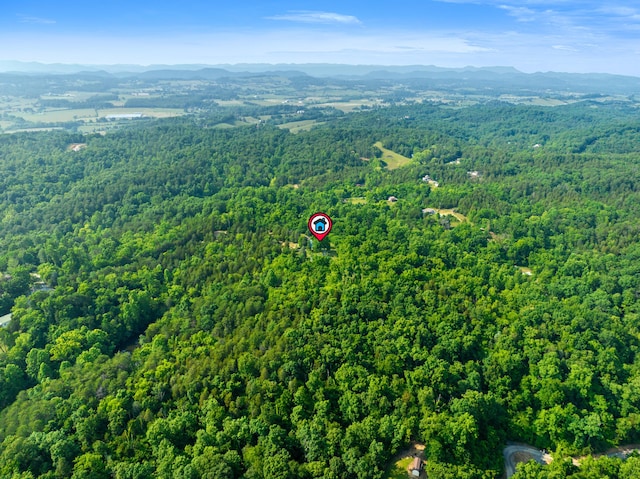 261 Buzzard Roost Rd, Bulls Gap, TN 37711 - bird's eye view of a heavily wooded area and a mountain backdrop