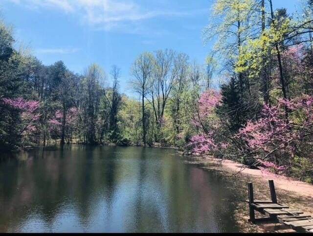 261 Buzzard Roost Rd, Bulls Gap, TN 37711 - water view with a forest