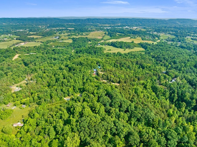 261 Buzzard Roost Rd, Bulls Gap, TN 37711 - aerial view of property's location featuring a forest