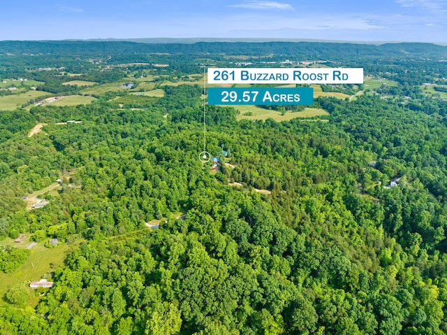 261 Buzzard Roost Rd, Bulls Gap, TN 37711 - aerial overview of property's location with a heavily wooded area