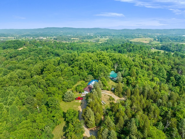 261 Buzzard Roost Rd, Bulls Gap, TN 37711 - aerial view of a heavily wooded area