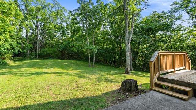 261 Buzzard Roost Rd, Bulls Gap, TN 37711 - view of green lawn with a deck and view of scattered trees