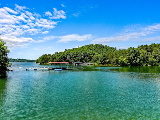 608 Watercrest Ln, Dandridge, TN 37725 - photo 7