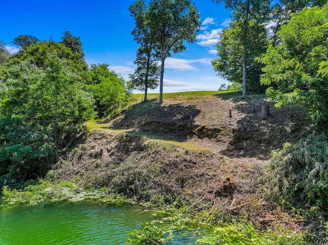 608 Watercrest Ln, Dandridge, TN 37725 - photo 5