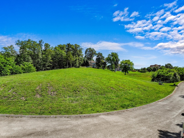 608 Watercrest Ln, Dandridge, TN 37725 - photo 8