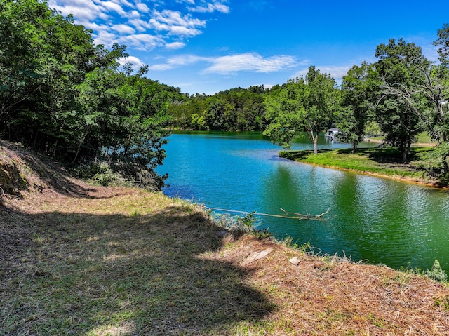608 Watercrest Ln, Dandridge, TN 37725 - photo 4