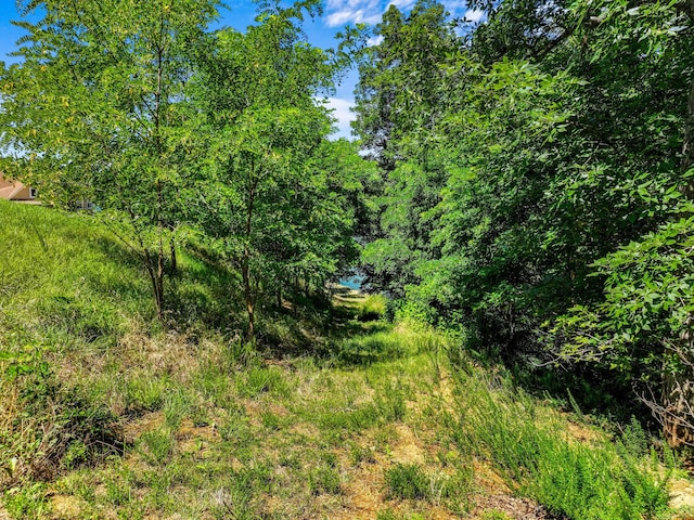 608 Watercrest Ln, Dandridge, TN 37725 - photo 16