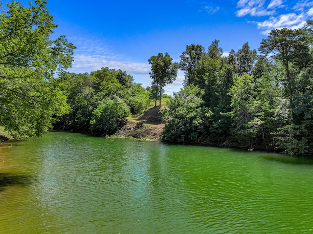 608 Watercrest Ln, Dandridge, TN 37725 - photo 6