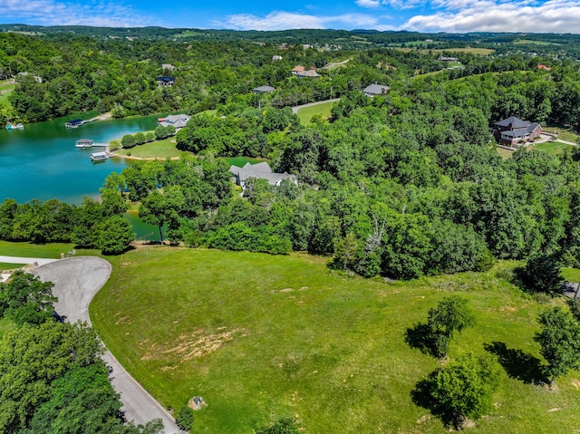 608 Watercrest Ln, Dandridge, TN 37725 - photo 10