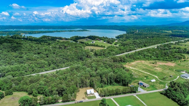 1056 Old Newport Hwy, Dandridge, TN 37725 - aerial view of a nearby body of water and a forest