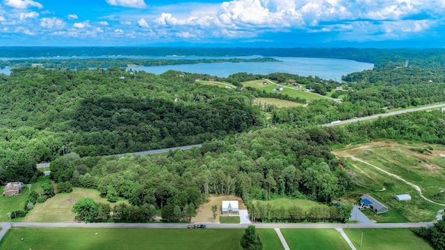 1056 Old Newport Hwy, Dandridge, TN 37725 - drone / aerial view of a nearby body of water