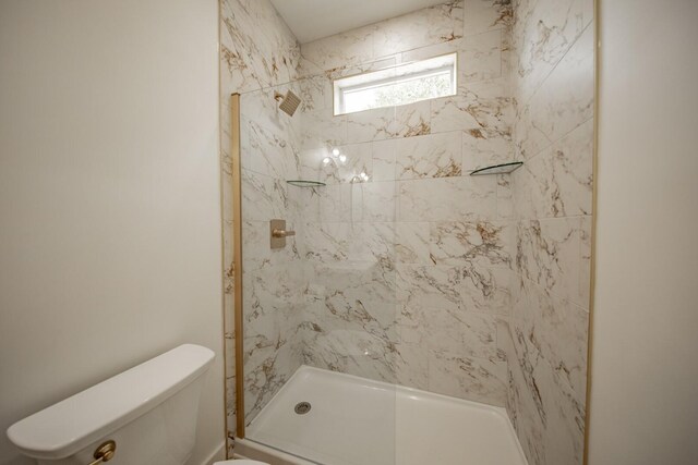 1056 Old Newport Hwy, Dandridge, TN 37725 - bathroom featuring toilet and a shower stall