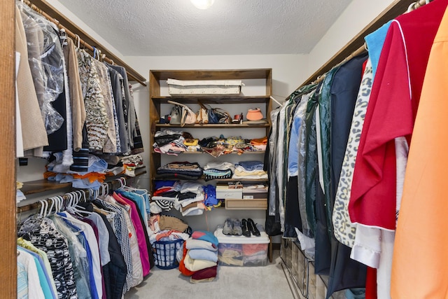 spacious closet with carpet floors