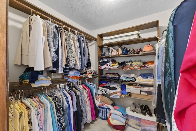 spacious closet featuring carpet flooring