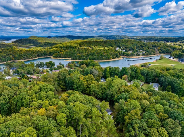 2790 Lowe Dr, Talbott, TN 37877 - photo 5