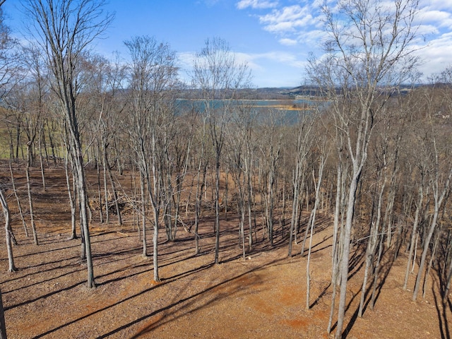 2790 Lowe Dr, Talbott, TN 37877 - photo 41