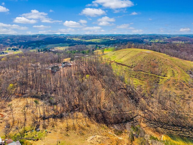 2790 Lowe Dr, Talbott, TN 37877 - photo 46