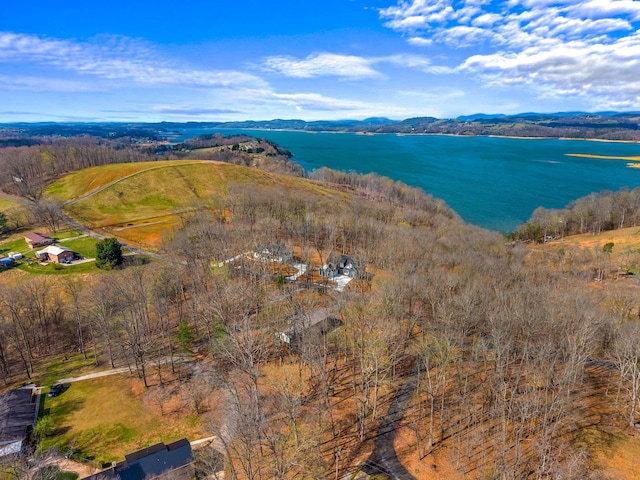 2790 Lowe Dr, Talbott, TN 37877 - aerial overview of property's location featuring a mountain backdrop and rural landscape