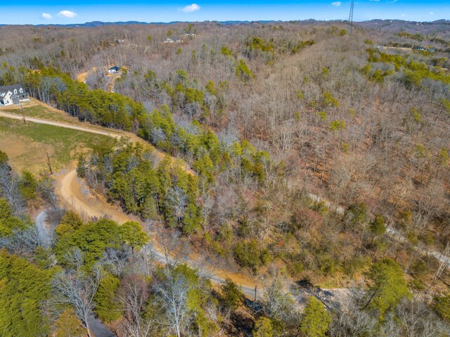 LOT8 Emerald Waters Dr, Newport, TN 37821 - photo 3