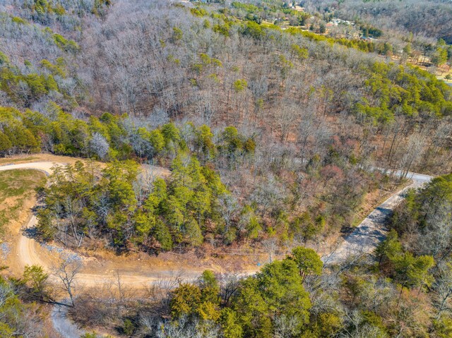 LOT8 Emerald Waters Dr, Newport, TN 37821 - photo 2