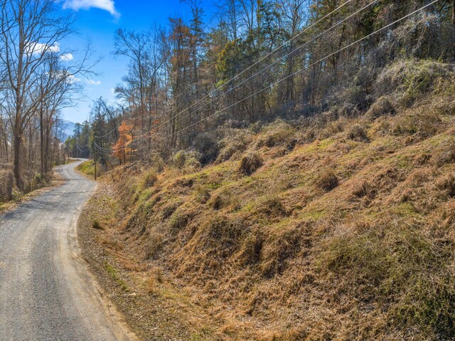 LOT8 Emerald Waters Dr, Newport, TN 37821 - photo 10