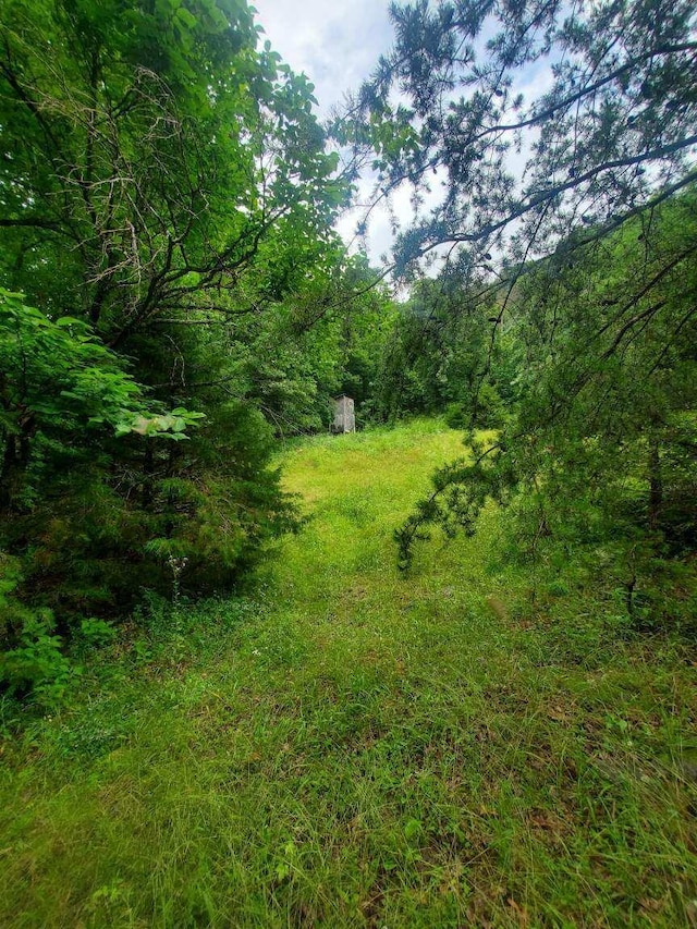 245 Fox Branch Rd, Kyles Ford, TN 37765 - view of wooded area