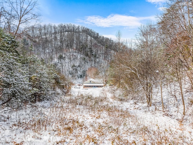 245 Fox Branch Rd, Kyles Ford, TN 37765 - snowy view featuring a view of trees
