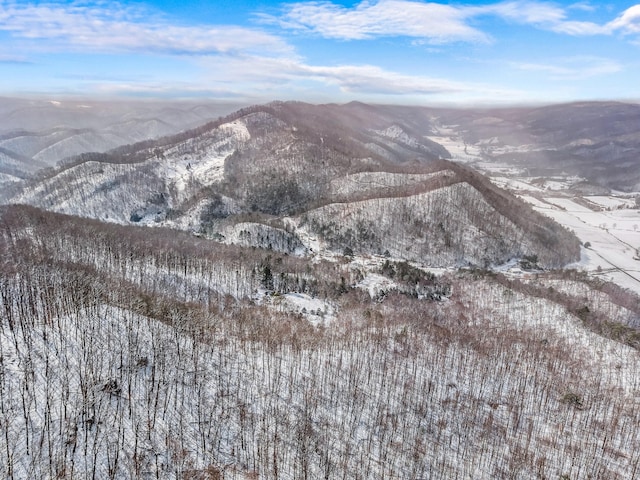 245 Fox Branch Rd, Kyles Ford, TN 37765 - view of mountain background