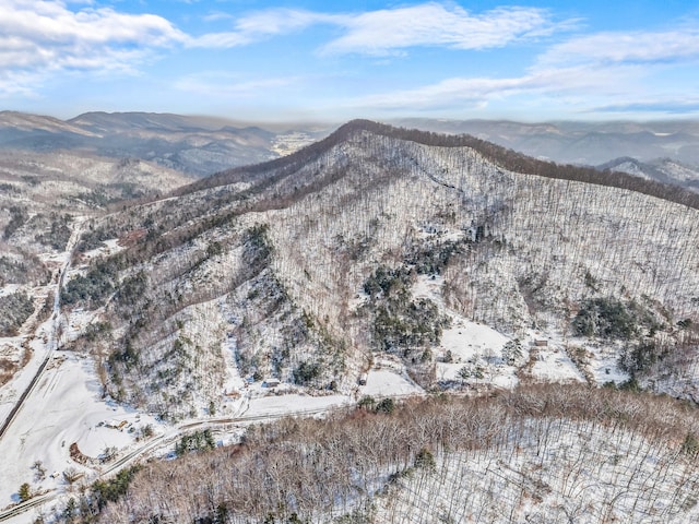 245 Fox Branch Rd, Kyles Ford, TN 37765 - view of mountain background