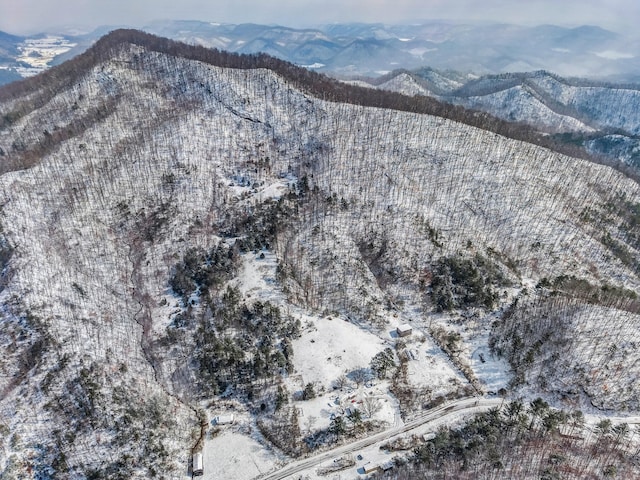 245 Fox Branch Rd, Kyles Ford, TN 37765 - mountain view