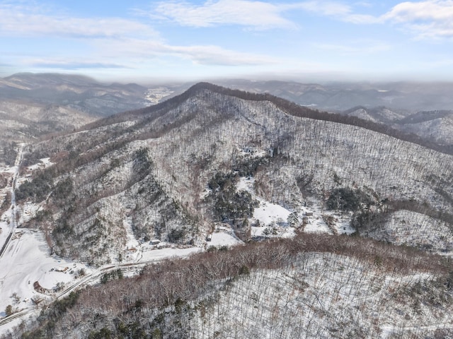 245 Fox Branch Rd, Kyles Ford, TN 37765 - mountain view